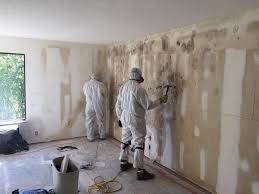 Homewood, SC Mold Inspection Company